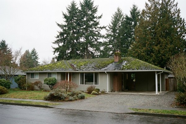 Columbia home roof before moss treatment